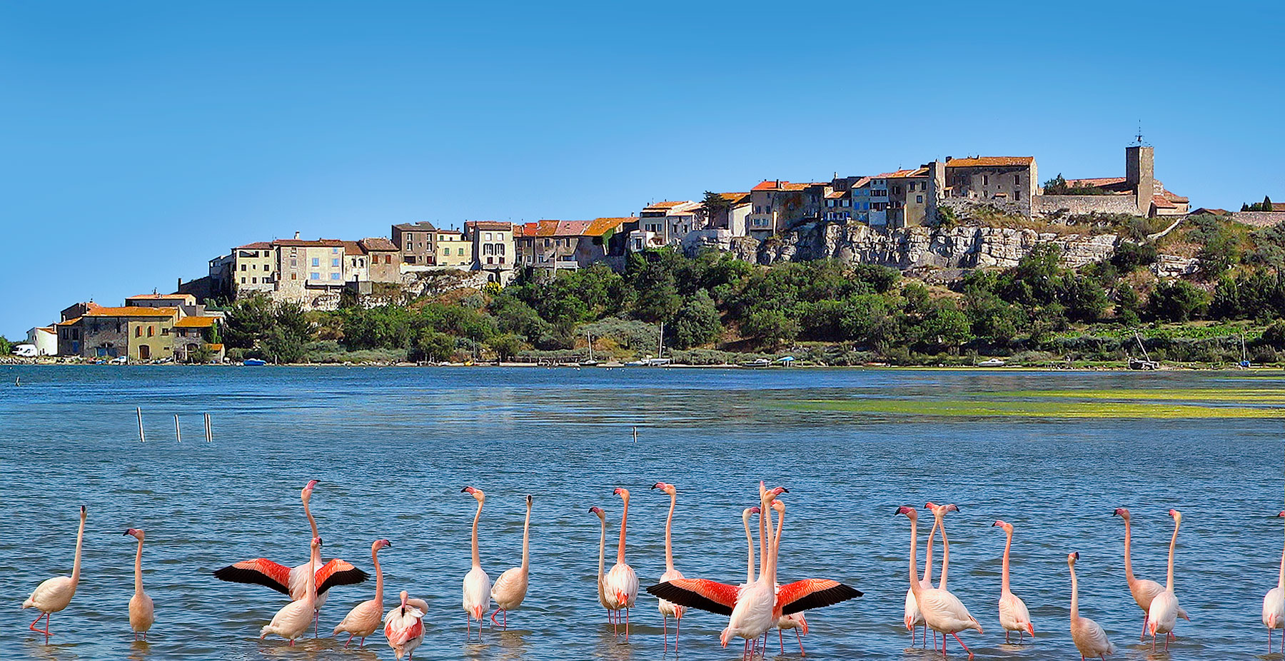 Bages im Aude